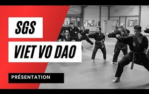 SGS Viet Vo Dao - Présentation