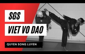 SGS Viet Vo Dao - Quyen Song Luyen